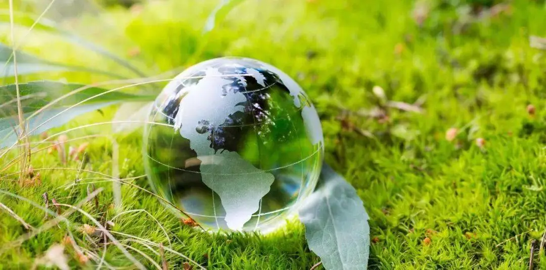 新希望：已走出低谷期 围绕降本增效做文章