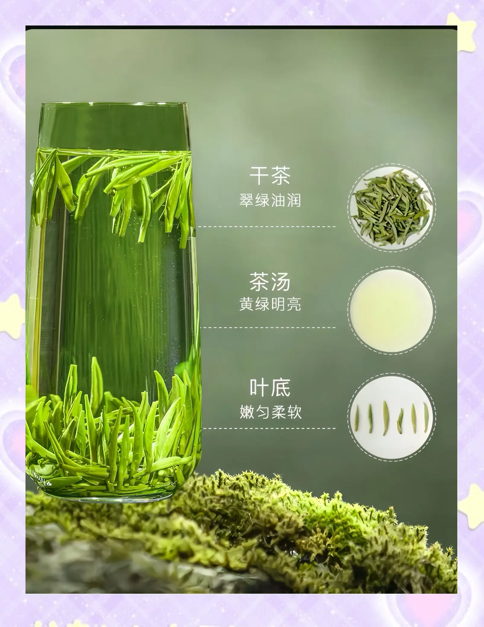 生态文明新图景｜贵州：绿色电能让群众共享“阳光收益”