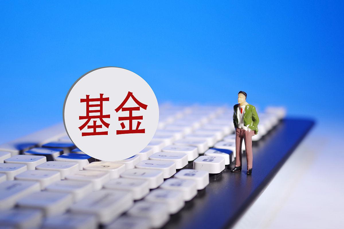 主动权益基金投资优势凸显 125只产品上半年收益率超过30%