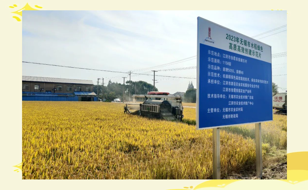 农业农村部:秋粮长势正常偏好