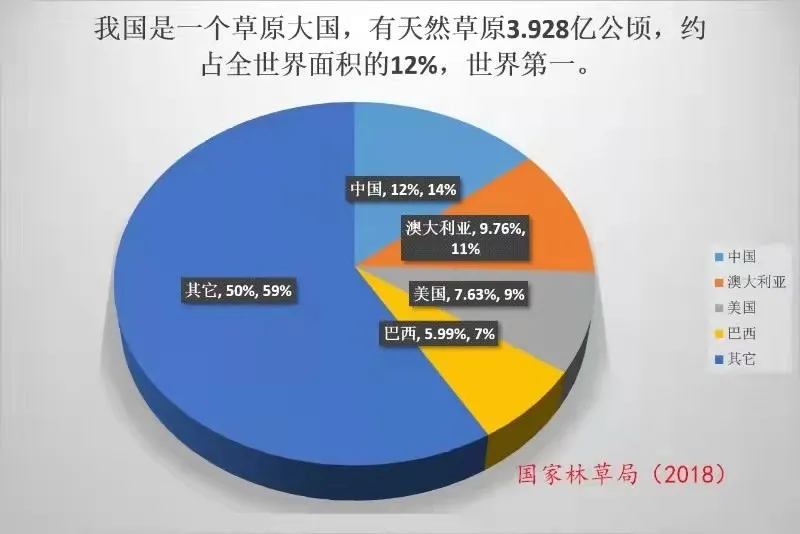 2025年中答卷·一线扫描篇|让创新成果“金点子”变产业发展“金钥匙”