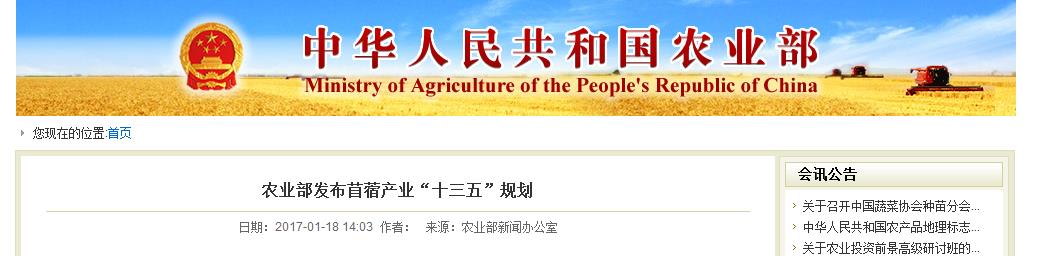 农业农村部等十部门发布促进农产品消费实施方案