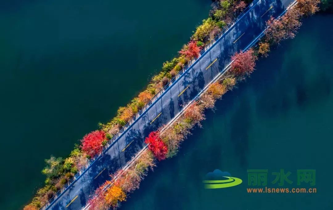 以“数”看“绿”!“两山”答卷二十年