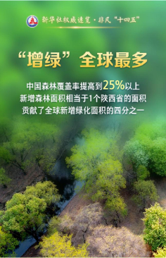 决胜“十四五” 打好收官战丨做好“减震器”“稳定器”!“十四五”期间保险业保障能力持续提高