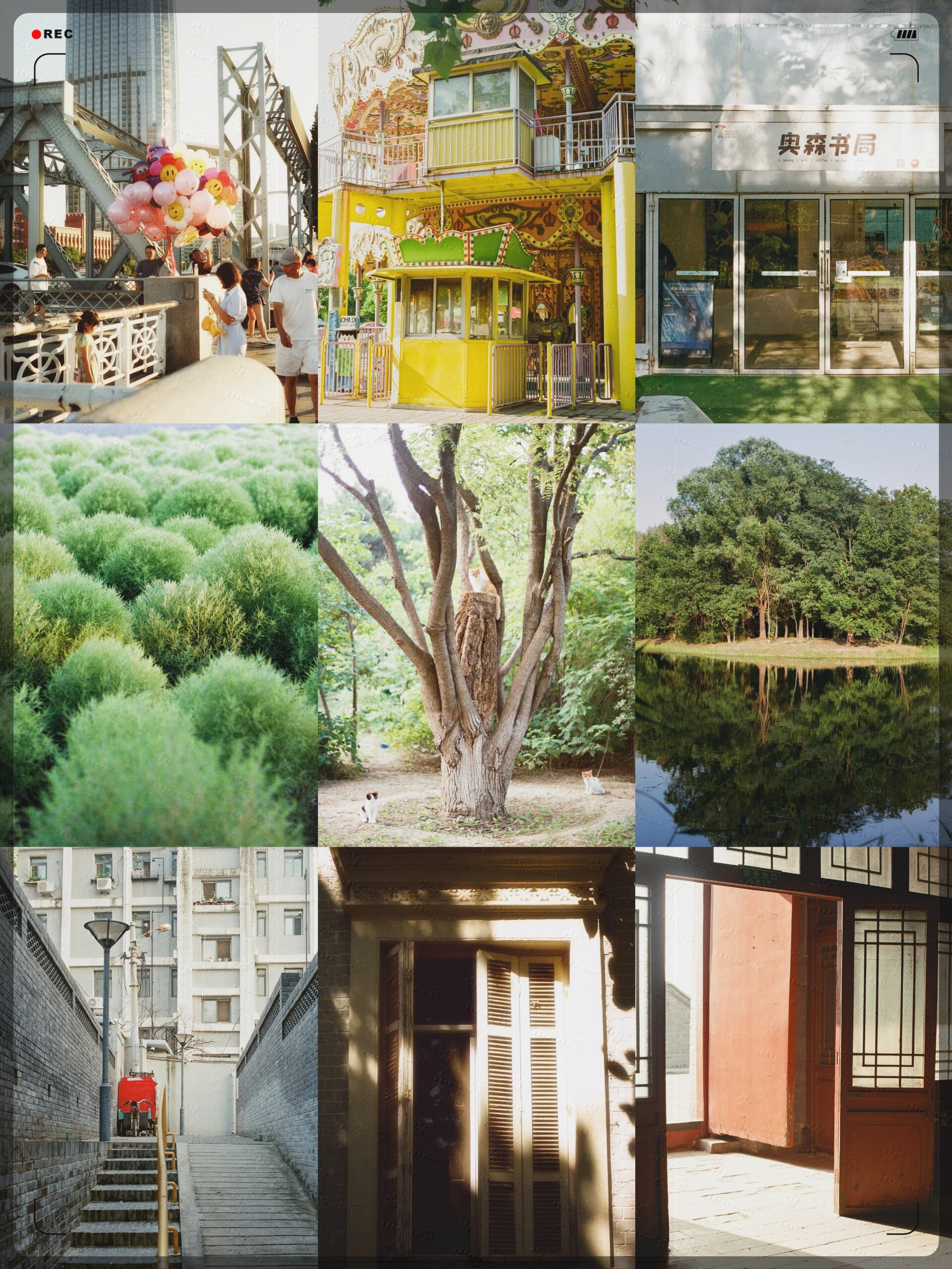 悦达投资：上半年转型成果持续绽放 开辟零碳园区建设新路径