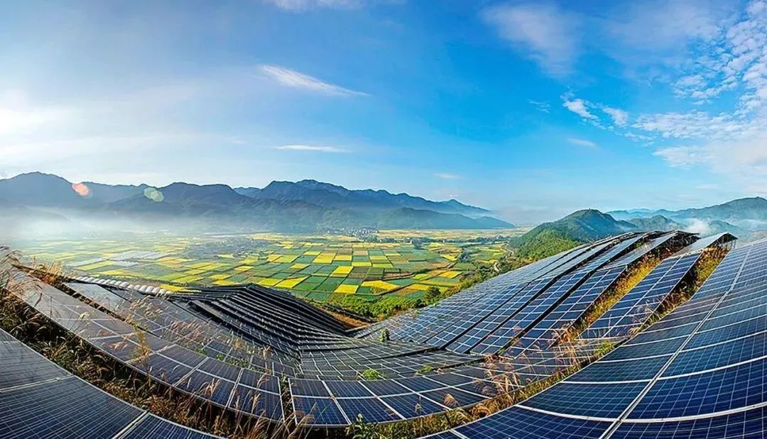 财经聚焦丨观鸟经济持续升温 催生消费新业态