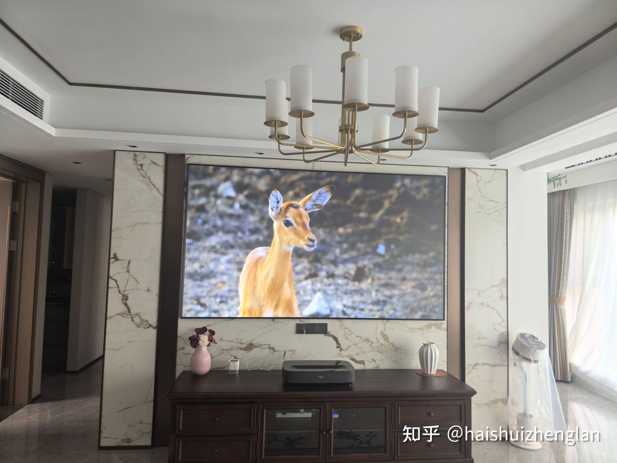 长虹推出百吋巨幕电视新品 携手多方发布《百吋电视选购白皮书》