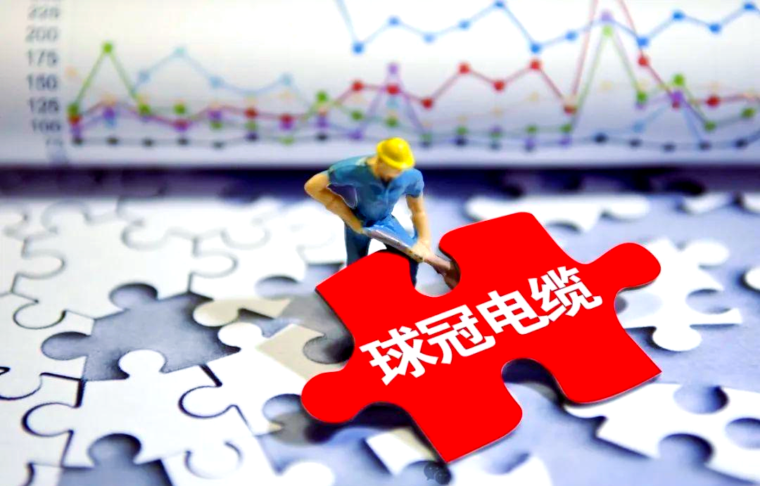 球冠电缆:上半年营收增长 研发多维突破