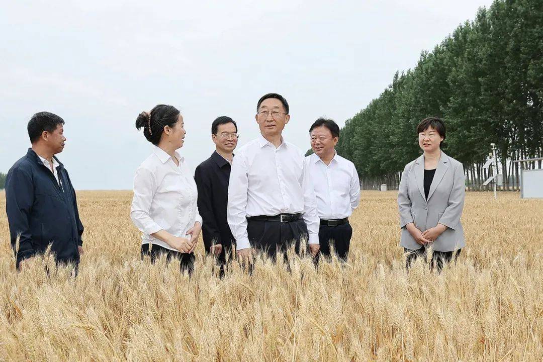 农业农村部派出工作组赴18个省份调研指导秋粮生产和防灾减灾