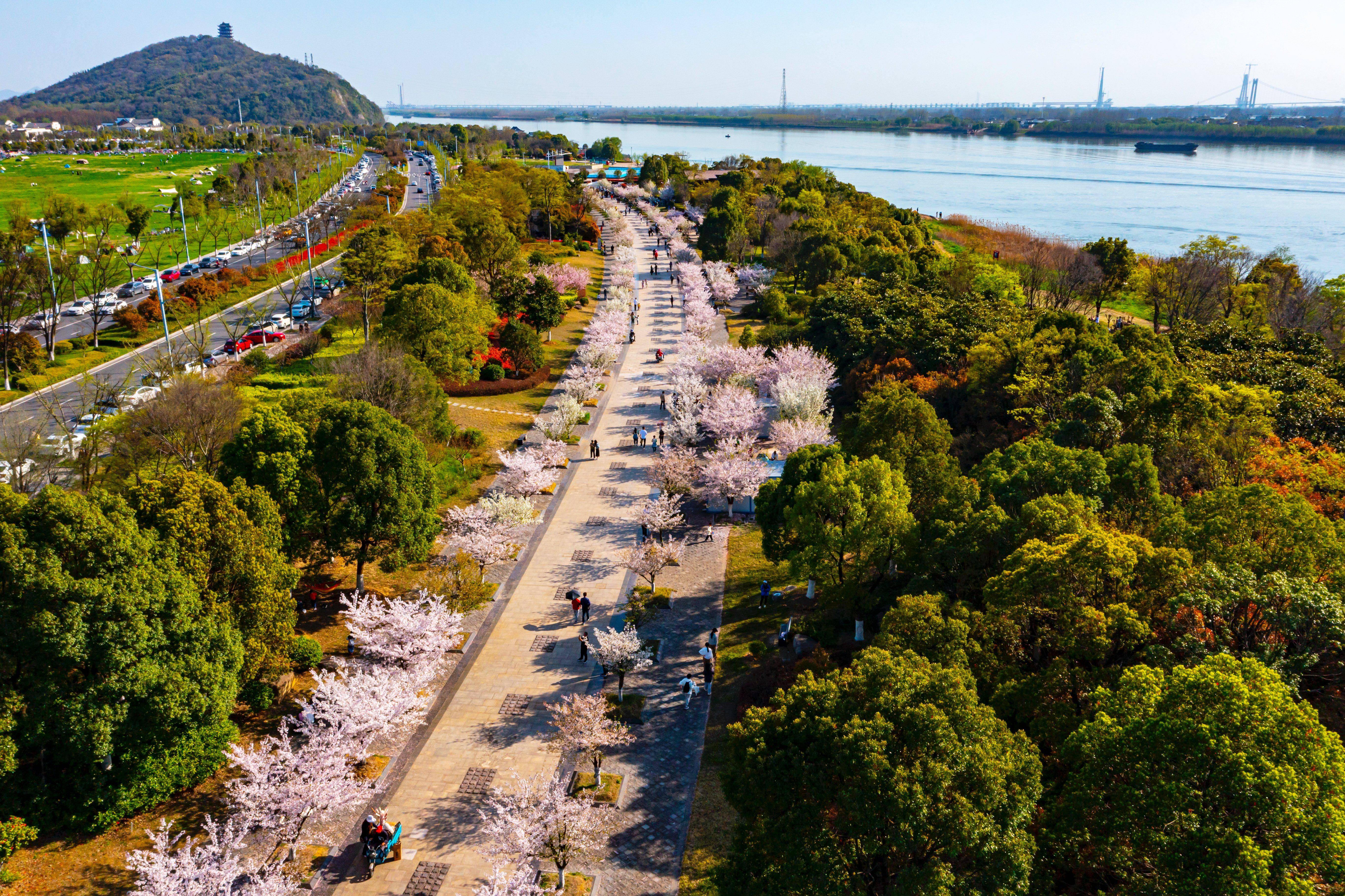 活力中国调研行｜出口创新高 码头焕新“绿”——探访“长江外贸第一大港”太仓港