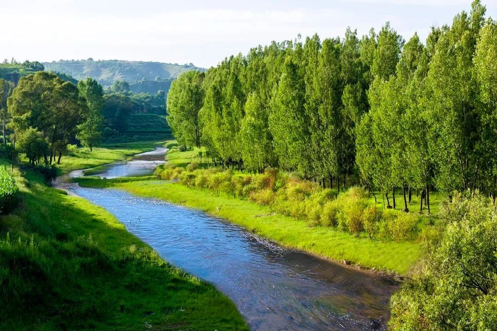 数览“十四五”成绩单丨绿水青山“颜值”更高!高质量发展注入绿色动能