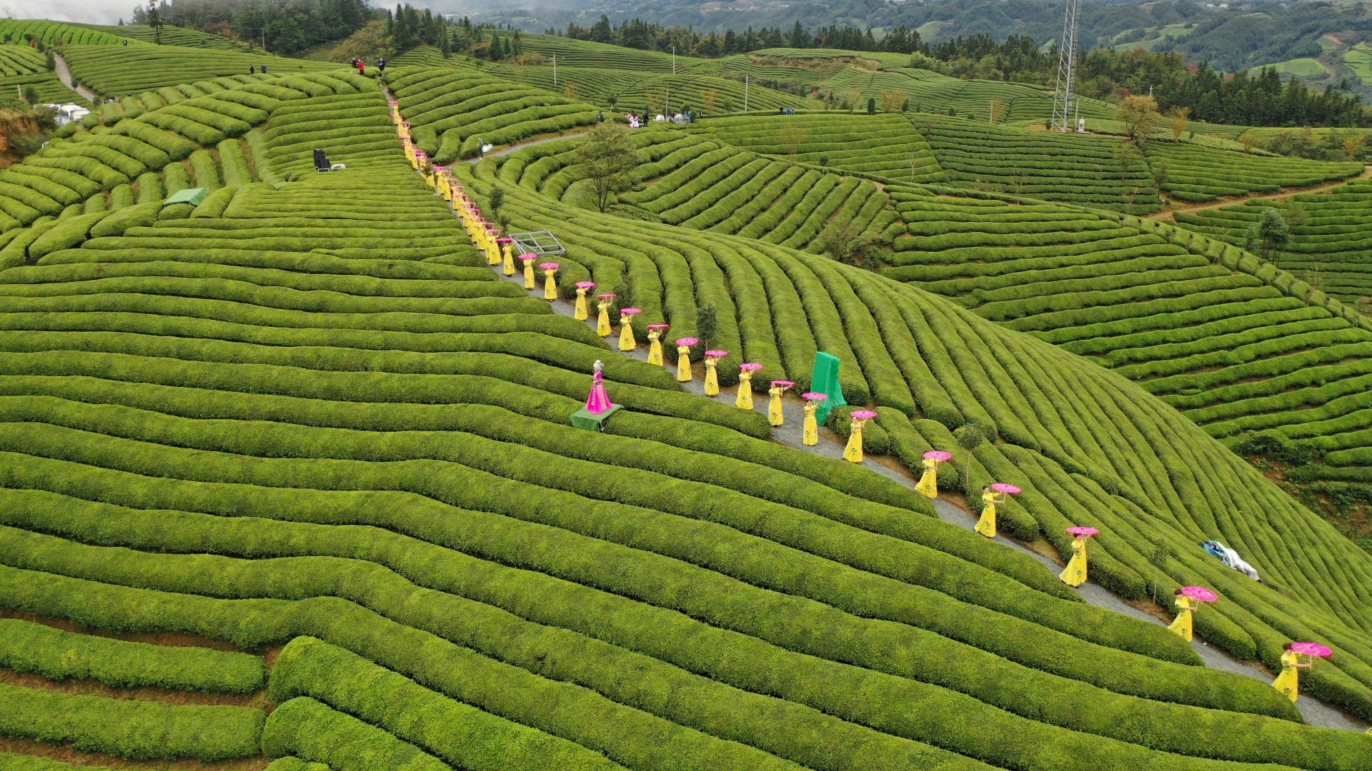 数览“十四五”成绩单丨绿水青山“颜值”更高！高质量发展注入绿色动能