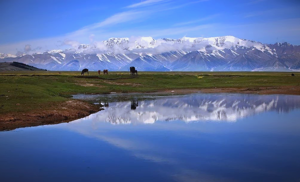 钢铁巨龙驰骋天山南北——铁路运输提质增效助力新疆打造经济增长“新引擎”