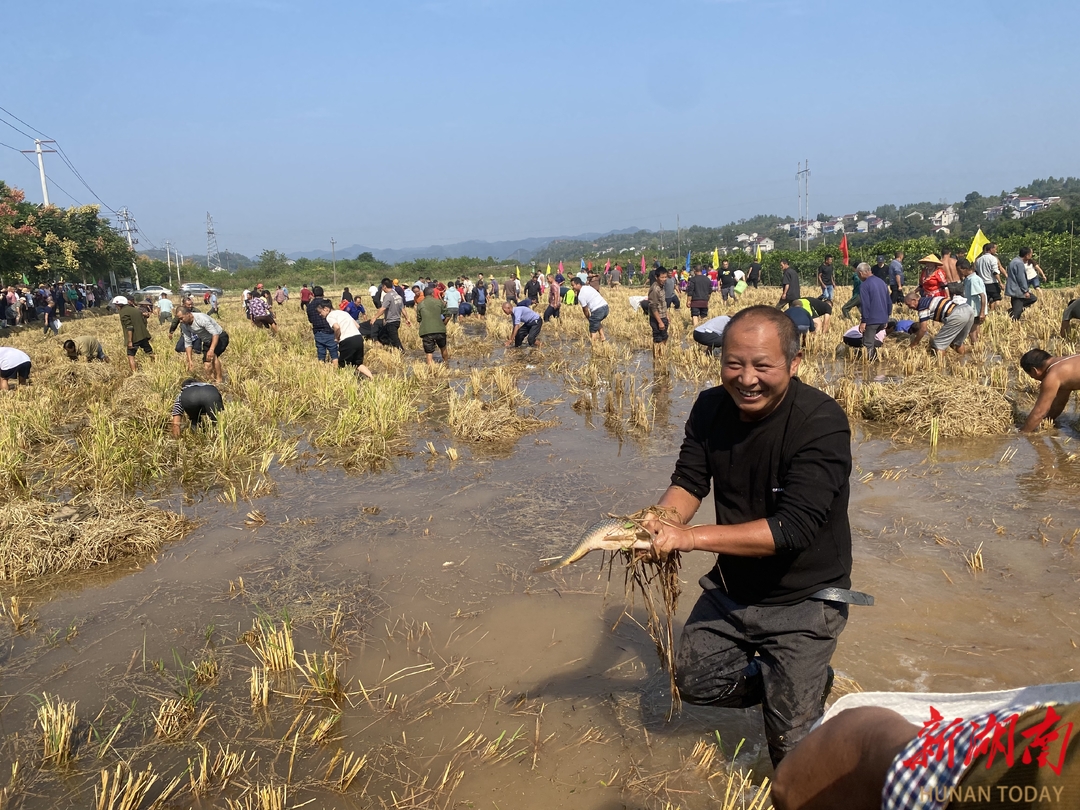 中国农民丰收节丨种子也要竞争上岗?内蒙古扎赉特旗的粮收得早产量高
