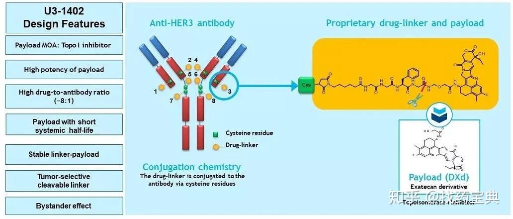 盟科药业：与蓬勃生物达成ADC药物联合开发战略合作