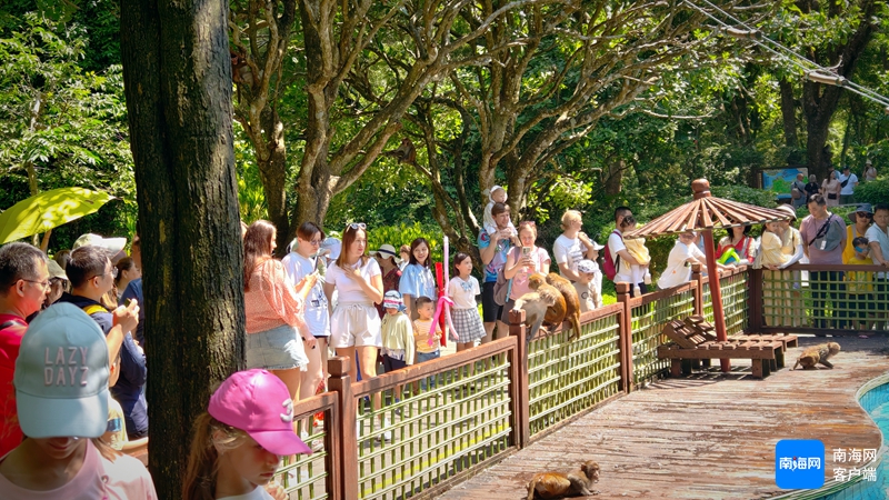 “双节”假日观察｜自然人文交融，火热“乡村游”激活假日消费新引擎