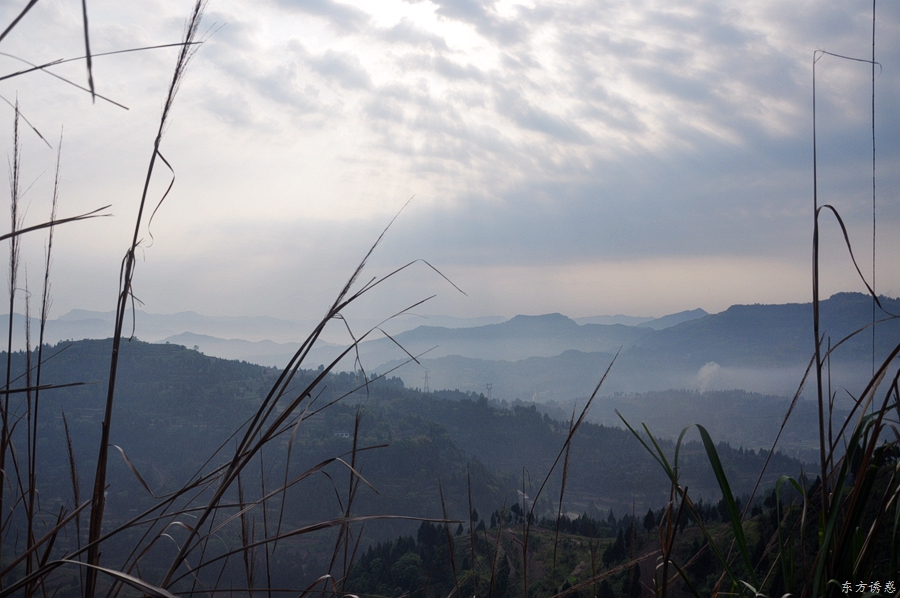 非车险监管要求落地 明确“报行合一”
