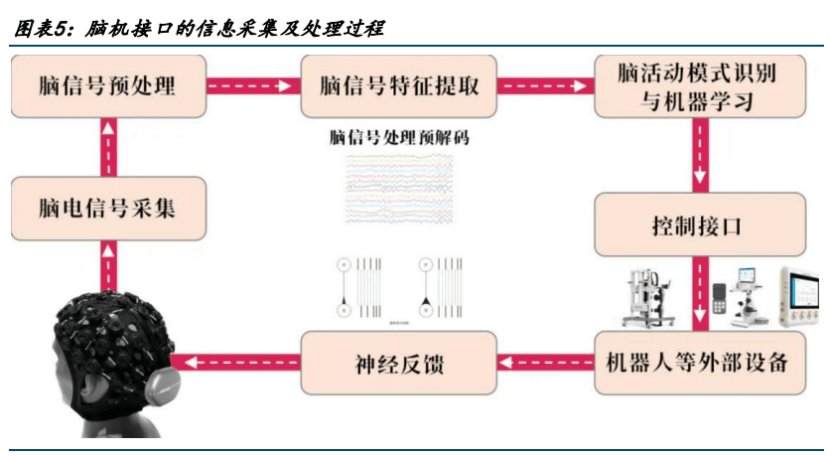 爱朋医疗：公司积极开拓脑机接口创新业务