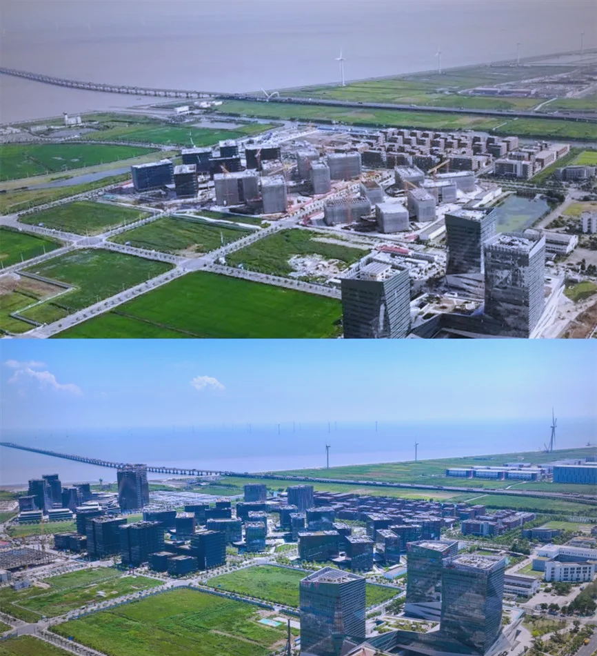 临港新片区综合党委书记朱旭明：道生天合成功登陆上交所主板 激励更多智能智造企业做大、做强、做优