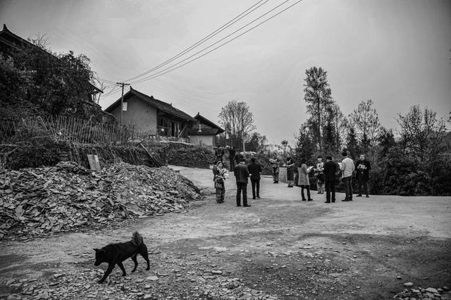 特稿｜在绿水青山间追求共同现代化——中国推动共建清洁美丽世界的全球回响