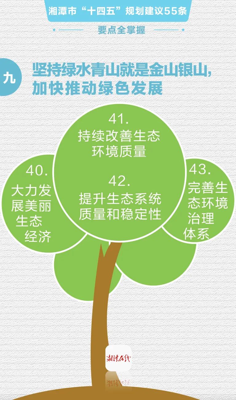 回望“十四五”| 一片叶子盘活亿元财富经——“禅茶第一村”的“十四五”绿色发展账本