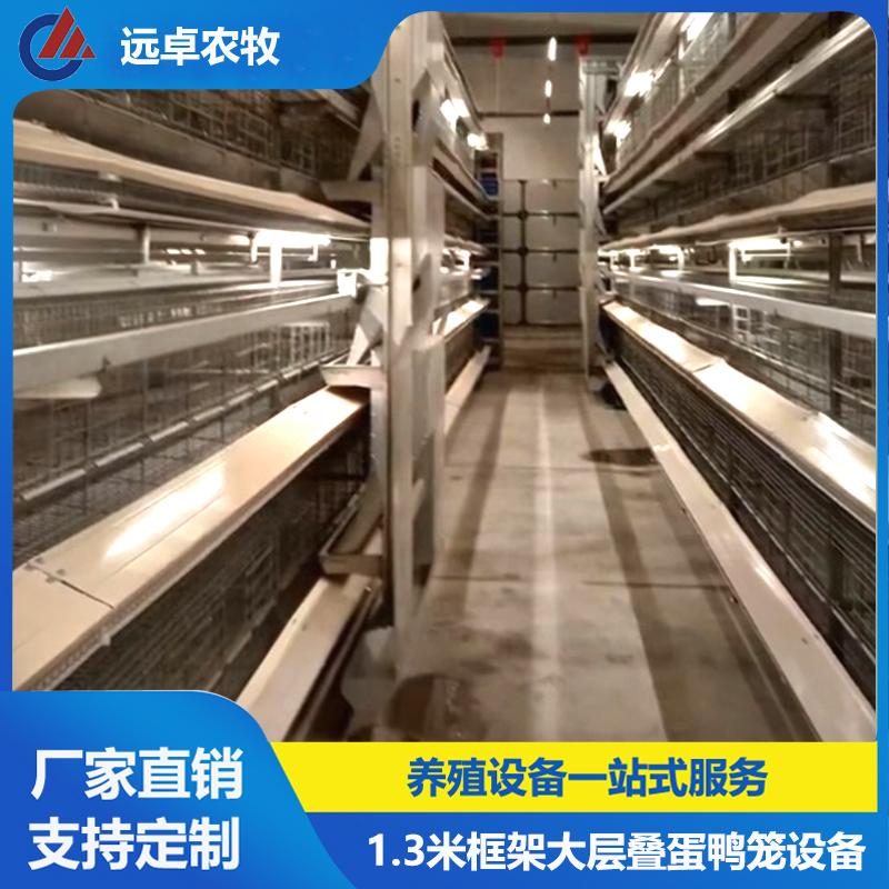 特稿丨风劲帆满启新程——国际社会瞩目中国绘制发展奋进新蓝图