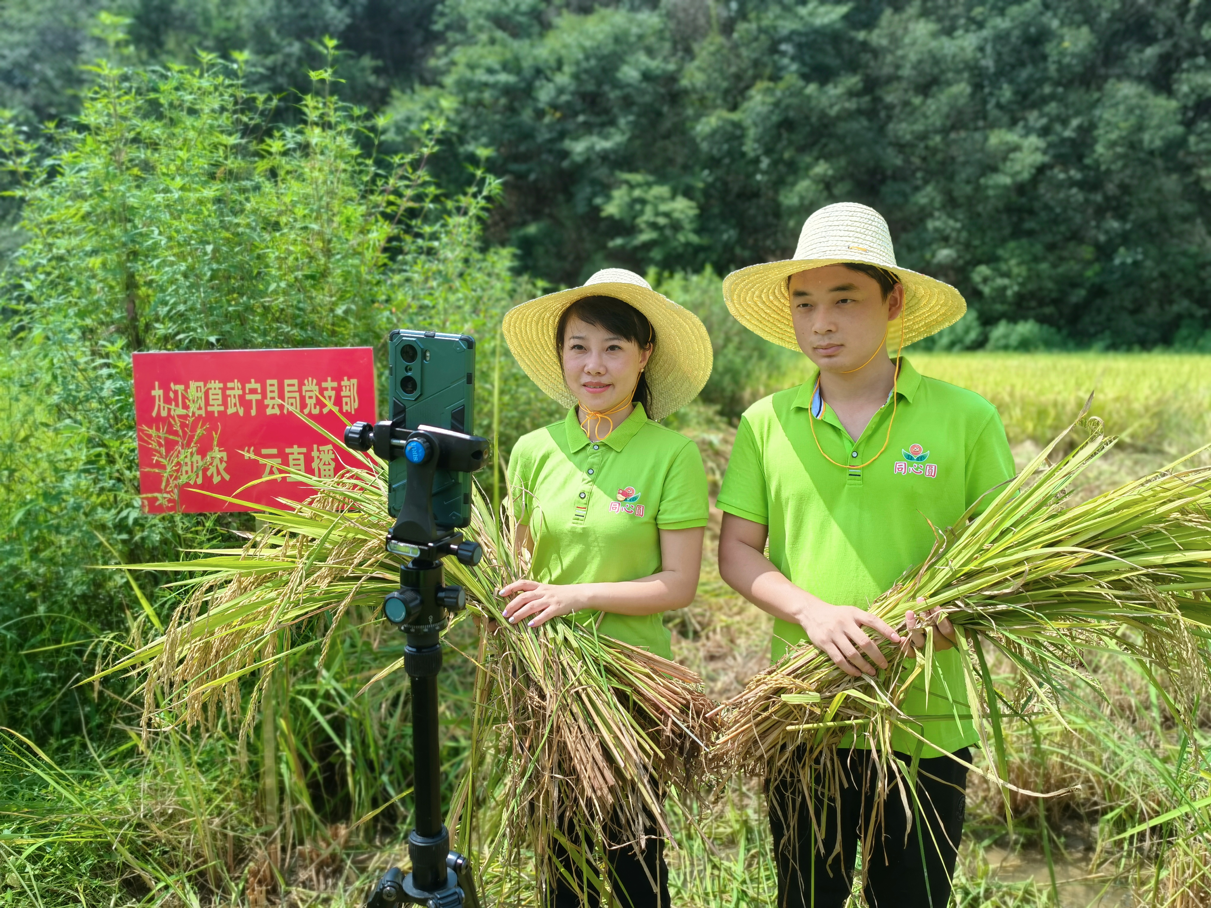 江苏金融监管局部署开展赋能乡村全面振兴“金融顾问+金融明白人”行动