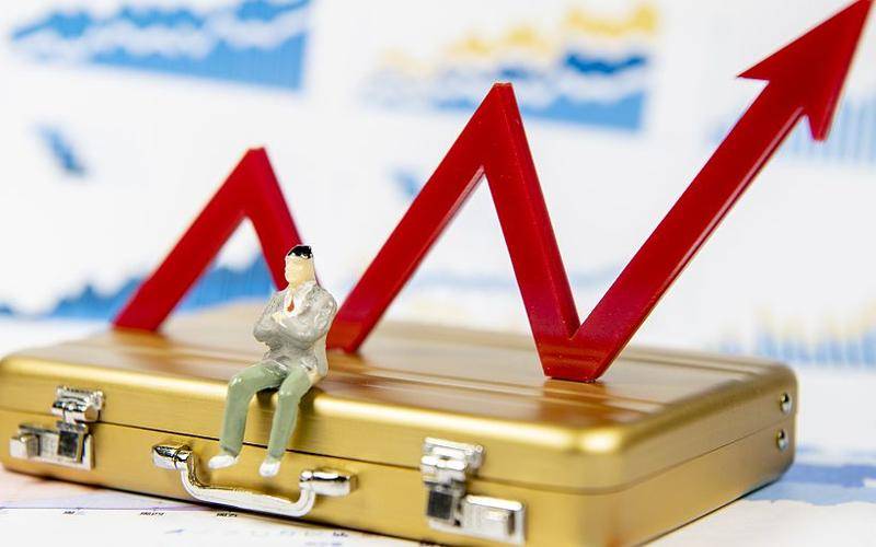 恒力石化：前三季度盈利逾50亿元 打造“成长+分红”型上市公司