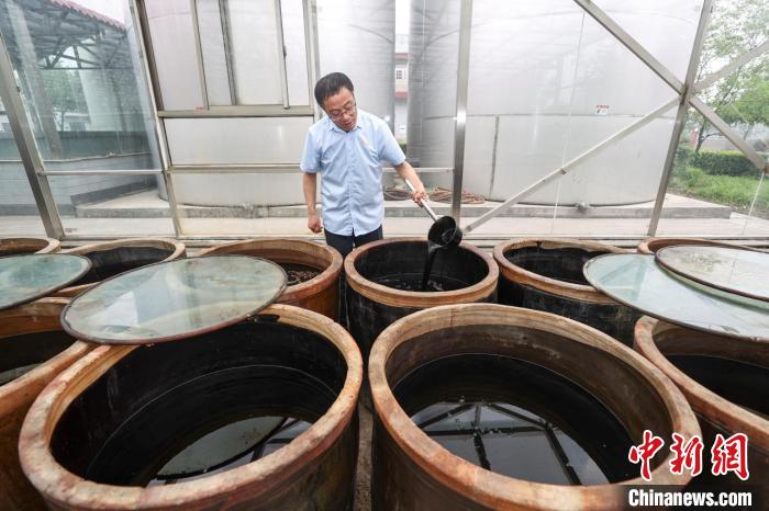 人大常委会丨我国立法明确村委会、居委会设立老年人和妇女儿童工作委员会