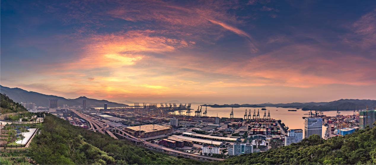 南山智尚蝉联深交所信息披露最高A类评级