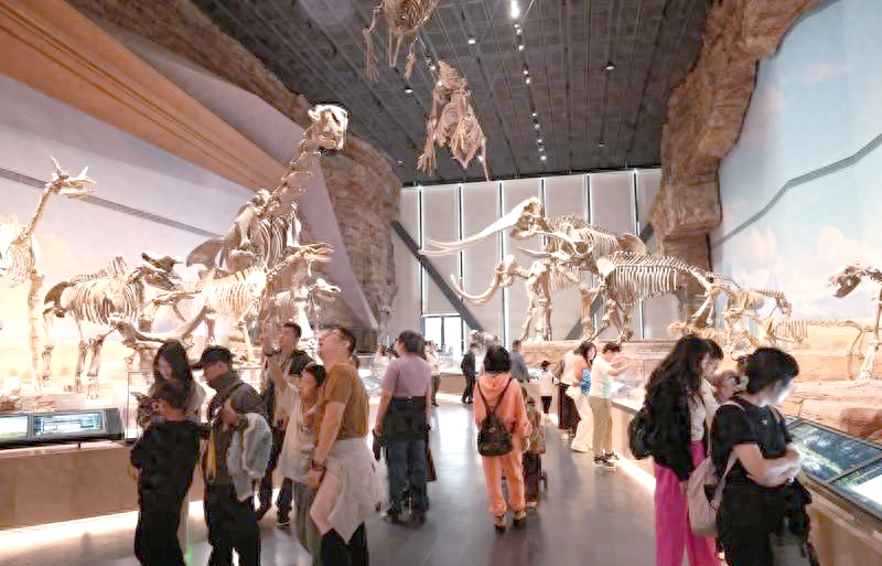 文博旅游:从观赏到体验怎么转