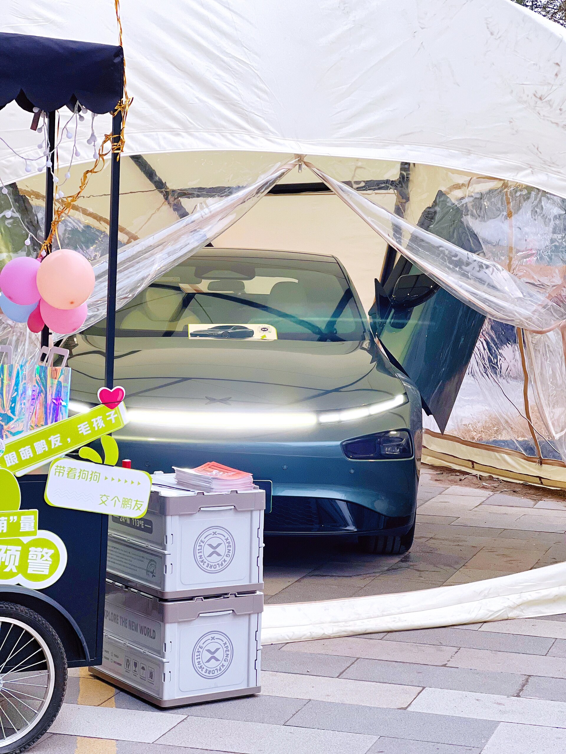 千亿“新赛道”的崛起密码|逛出幸福感:与“毛孩子”同行的城市地标