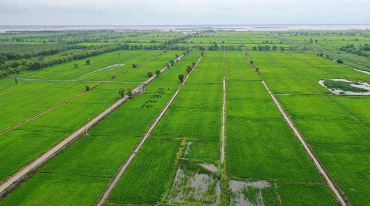 决胜“十四五” 打好收官战丨增肥黑土地 筑牢大粮仓——吉林加强黑土地保护一线观察