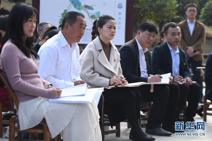 四中全会精神在基层丨小试剂“勇闯”全球大市场