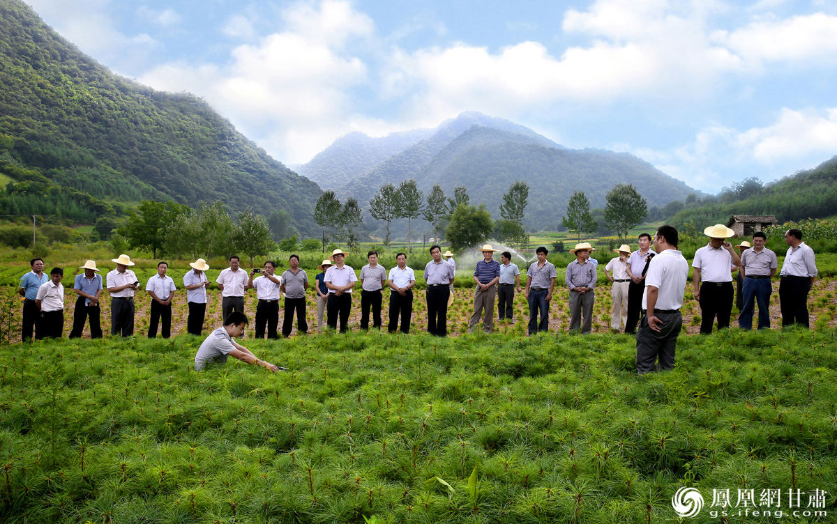 新华鲜报·规划建议新看点|兴边富民！扎实推进边境城镇建设