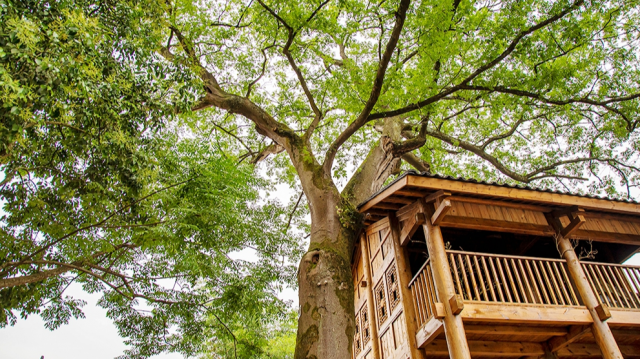 聚焦绿色投资 东方国资荣获“ESG乡村振兴金牛奖”