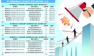 西藏金租申请破产审查