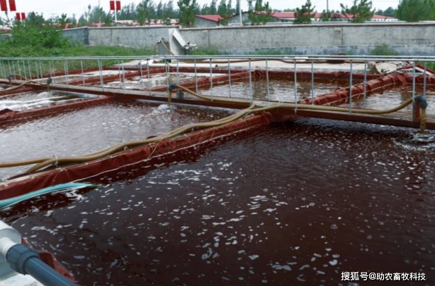 健帆生物：公司实践案例获《商业向善案例集2025》收录