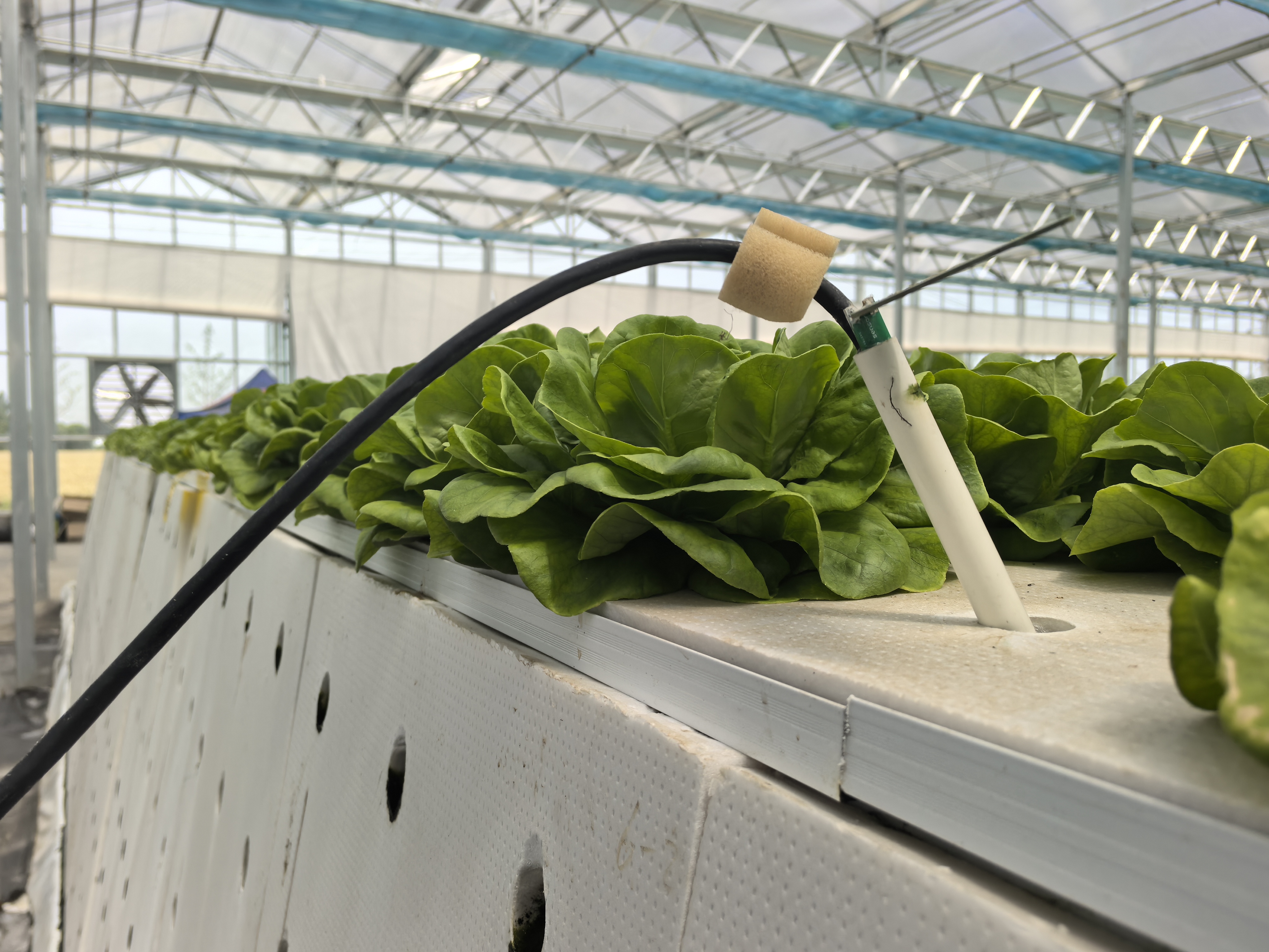 农业农村部加力推动智慧农业发展