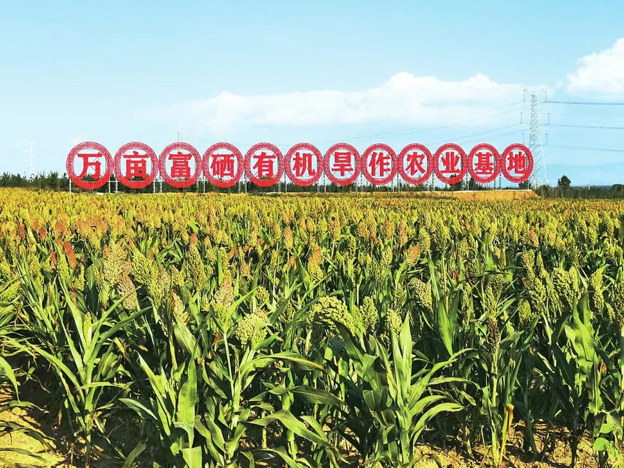 新华社评论员：推动经济社会发展全面绿色转型——七论学习贯彻中央经济工作会议精神