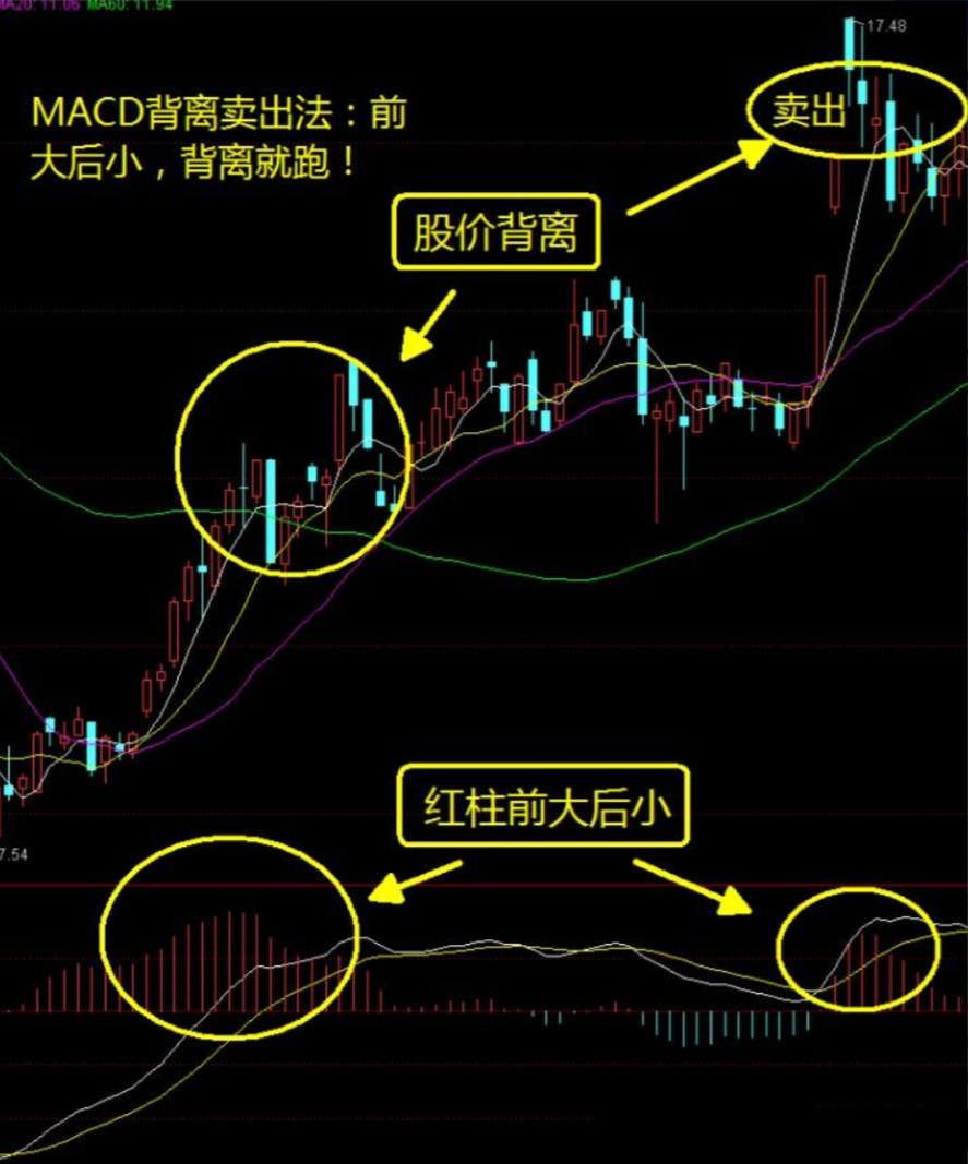 申万宏源董樑:2026年A股可能演绎成全面向上走势