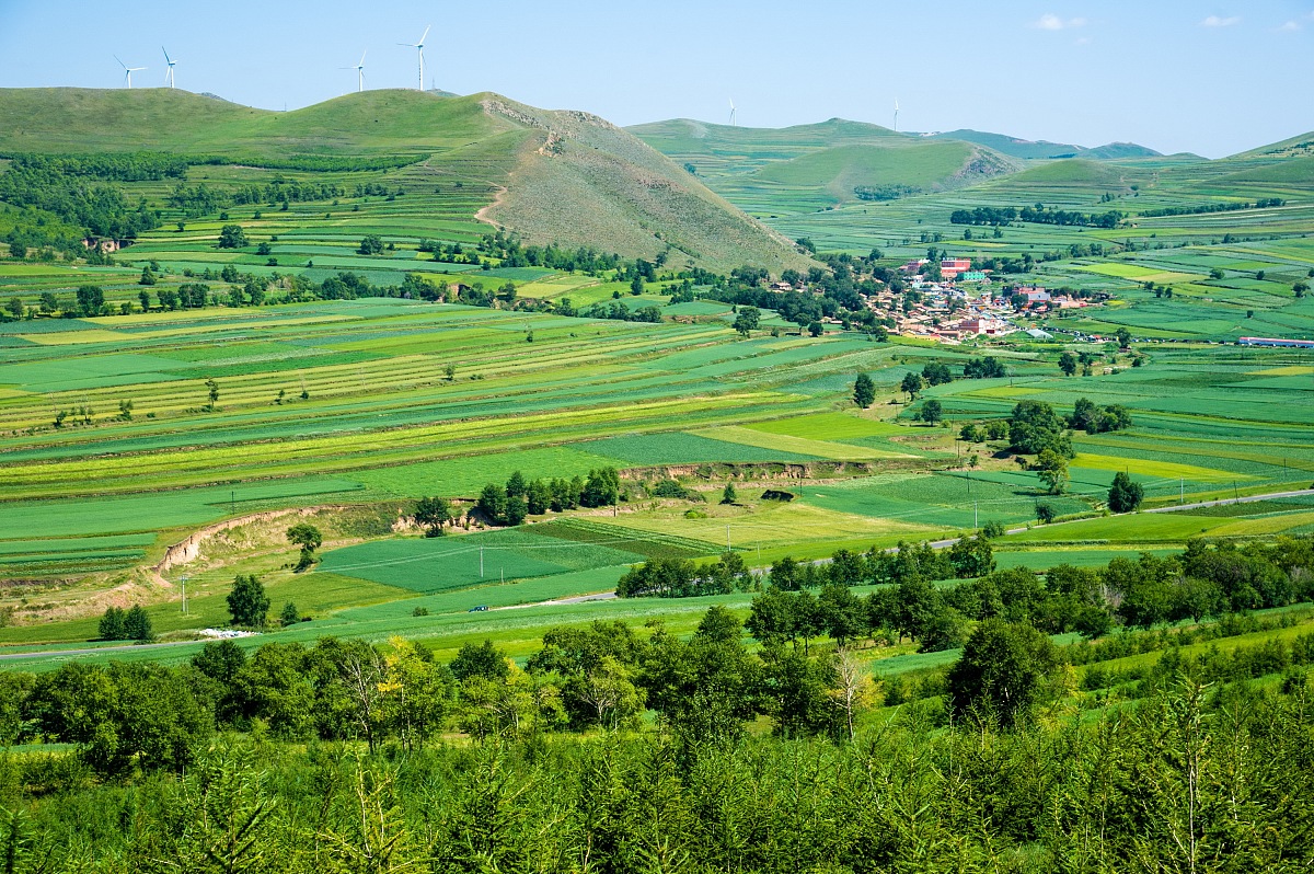“十四五”期间我国草原生态质量持续改善