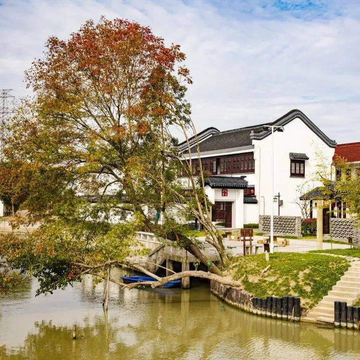 “减量提质”推动退场加速 年内已有226家村镇银行正式解散