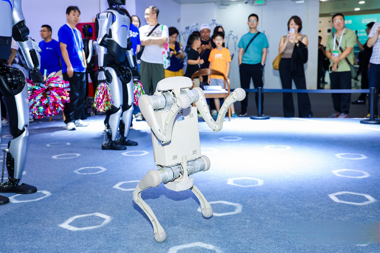 “杭州六小龙”相继冲刺IPO 云深处科技启动上市辅导