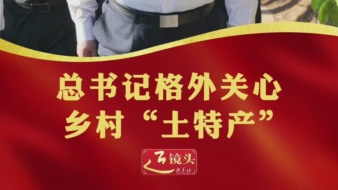 近镜头·总书记的2025｜步履之间，心之所向