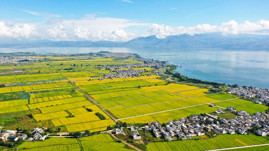 贯彻落实党的二十届四中全会精神权威访谈丨加快农业农村现代化 扎实推进乡村全面振兴——访农业农村部党组书记、部长韩俊