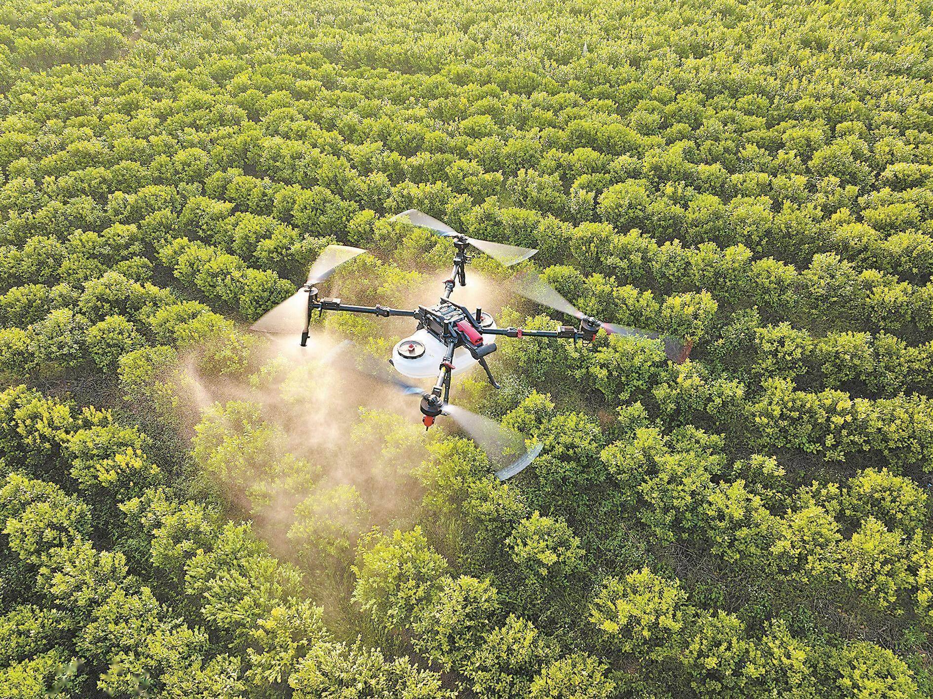 数智交通新体验丨“打飞的”逛景区 低空经济高速“起飞”