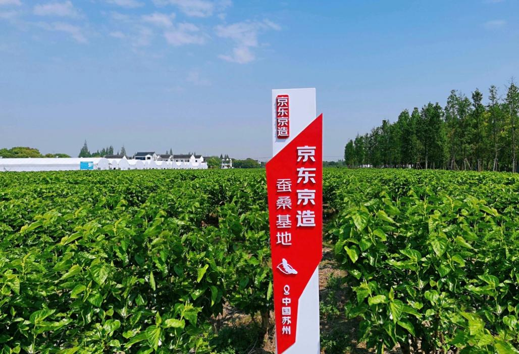 数智绿色赋能 国货航打造航空物流新标杆