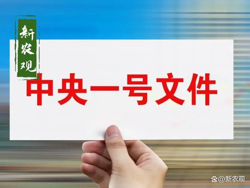 中央农村工作会议关键提法之四：新一轮千亿斤粮食产能提升行动