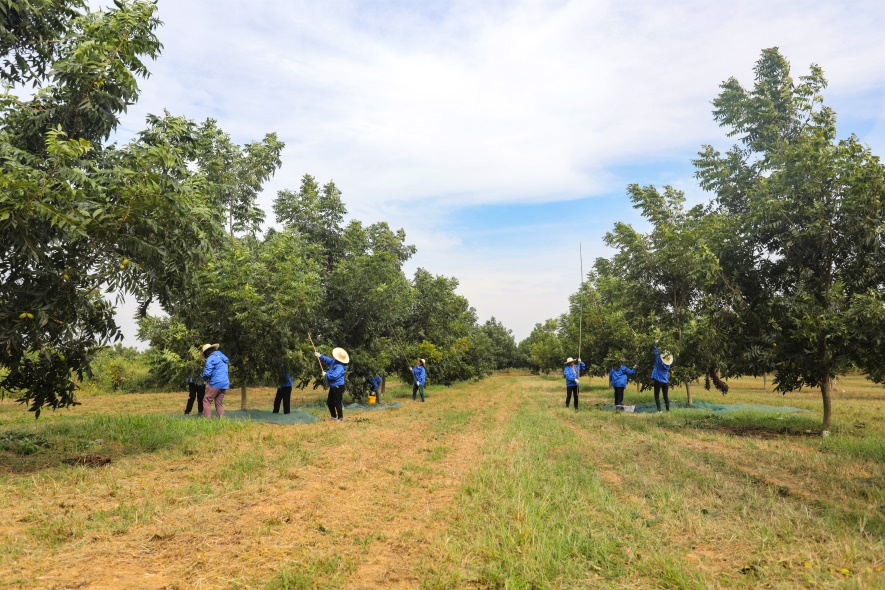 新版《绿色工厂评价通则》国家标准发布